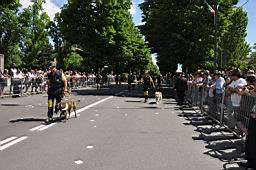 DSC_0748.JPG