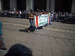 IMGP5806.JPG