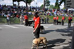 DSC_0230.JPG
